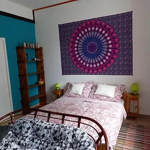 Apartman Esőerdő Apartman, Eger